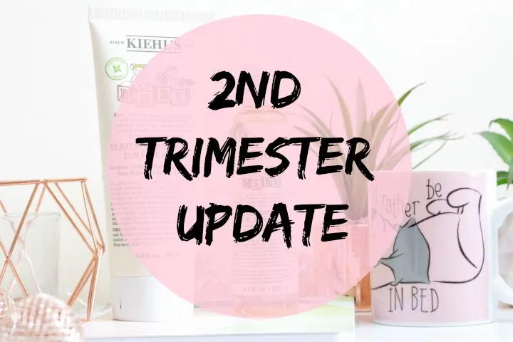 2nd trimester pregnancy update