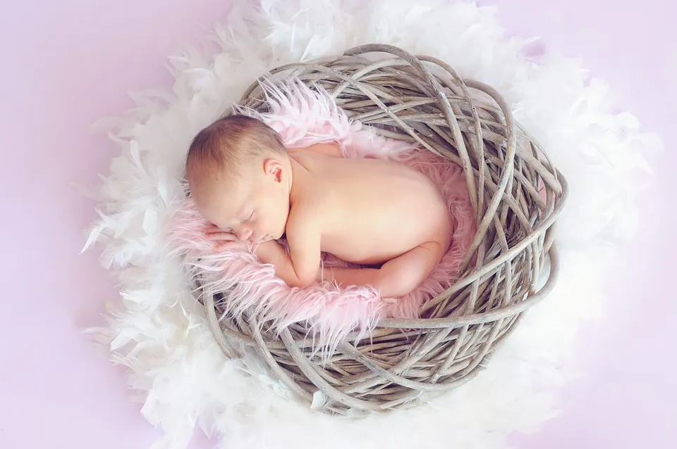 Baby, Girl, Newborn, Newborn Baby, Portrait, Asleep